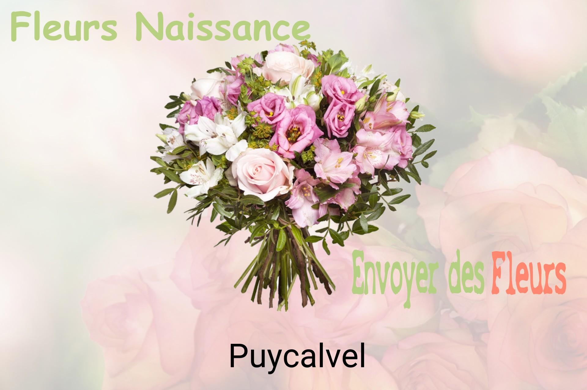 Bouquet de fleurs de naissance livré à Puycalvel