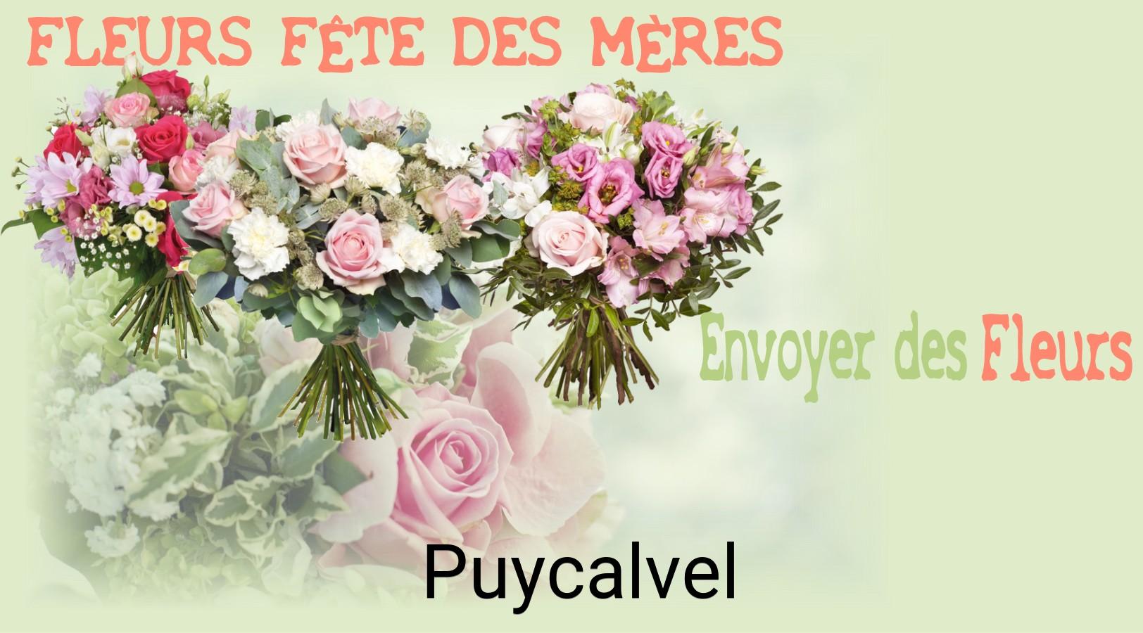 Bouquet de Fête des Mères livré à Puycalvel